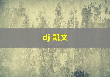 dj 凯文